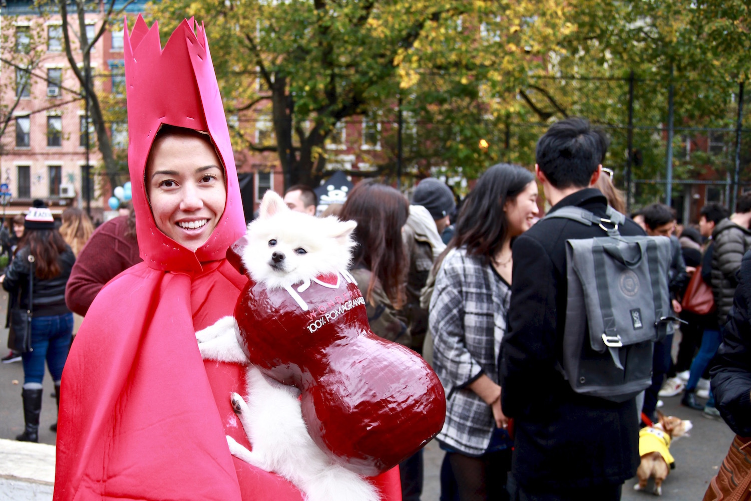 Photos from the Halloween Dog Parade, a Stunning Parade of Dogs Broadly
